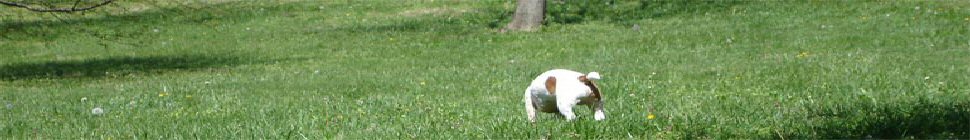 null815.de header image 2